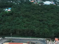 American Samoa Forests