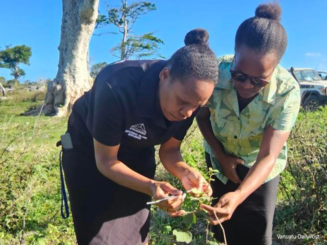 Vanuatu, invasive species