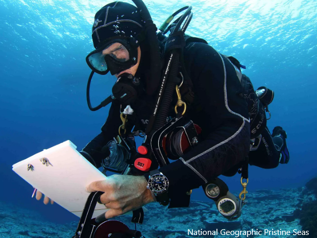 PNG, Pristine Seas