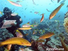 PNG Coral reef