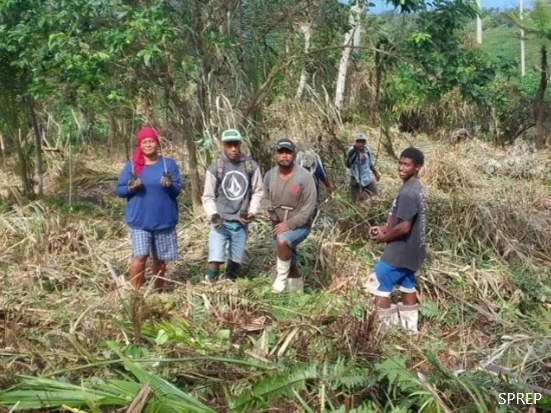 Taveuni