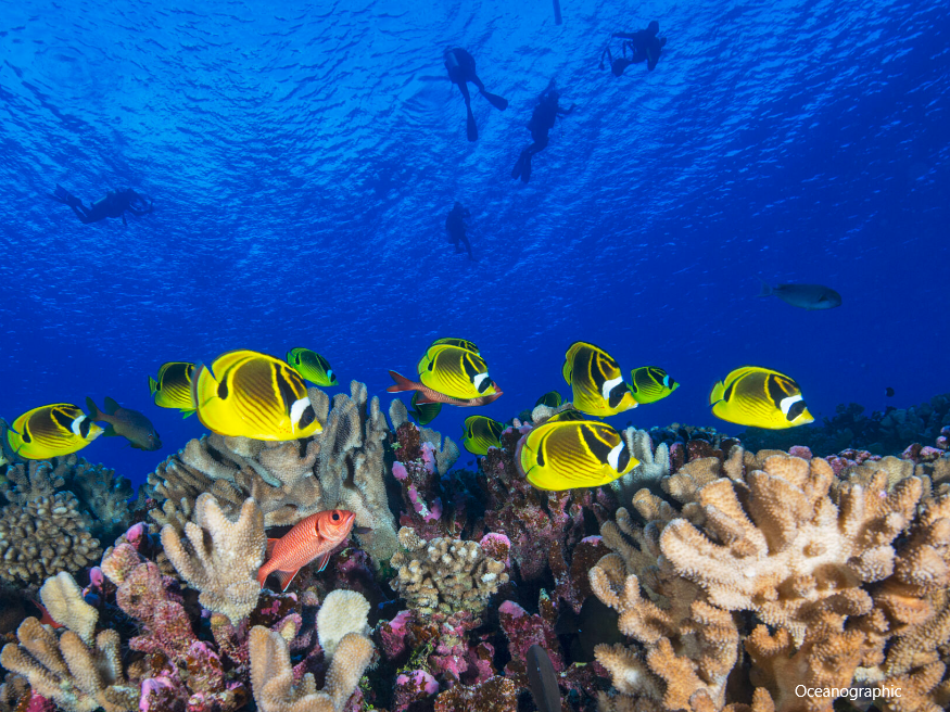 Marshall Island