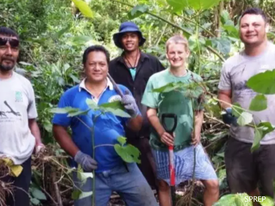 Samoa, invasive species