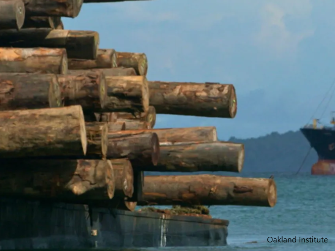 Logging, PNG