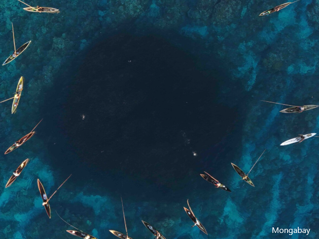 Solomons and Vanuatu