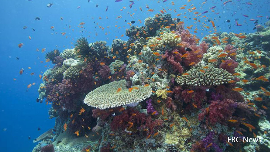 Fiji