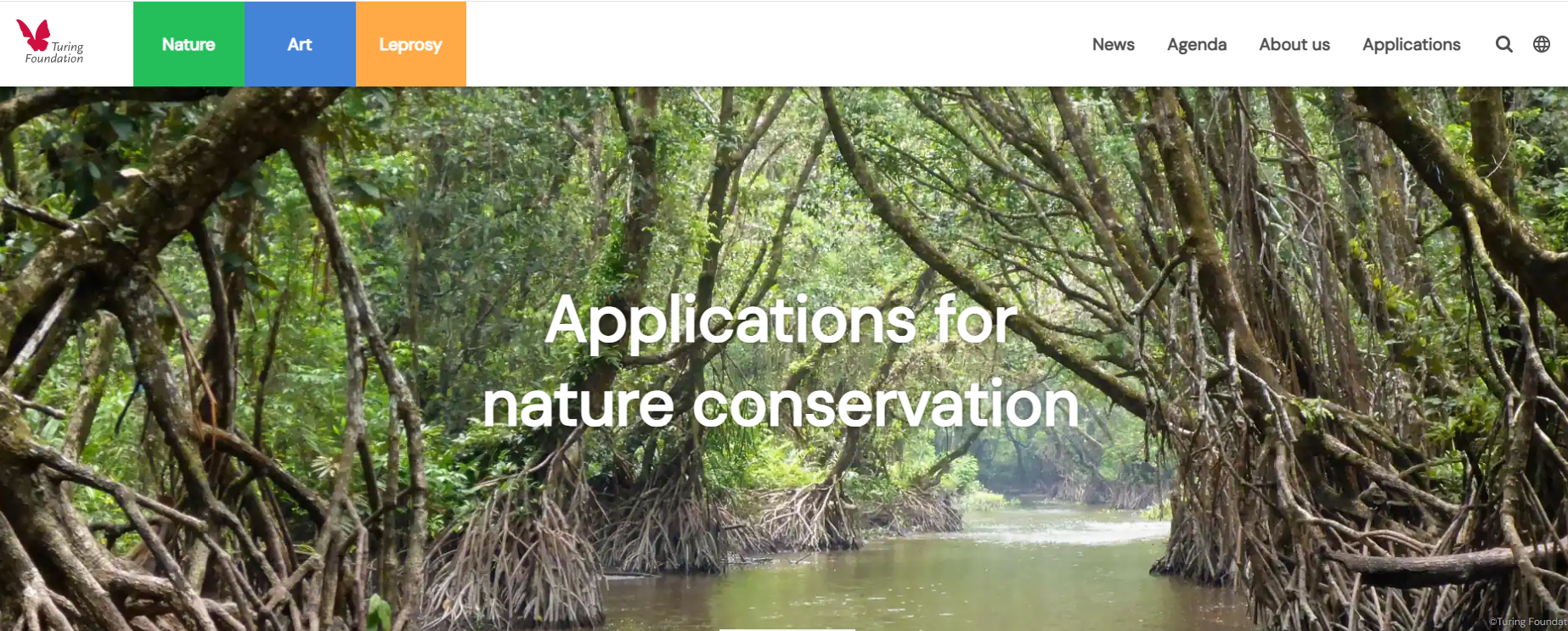 Mangroves