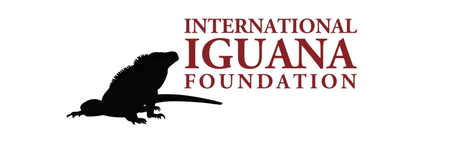 Iguana
