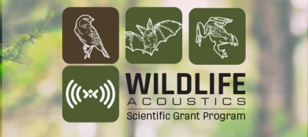 Accoustic grants
