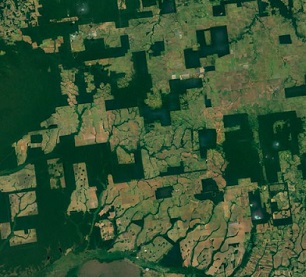 Google Earth images showing forest fragments in a deforested landscape in Rio Omerê, Rondônia, Brazil.