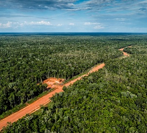 The Trans-Papua Highway, still under construction, cuts through a pristine rainforest in Papua province in Indonesia. Credit - ULET IFANSASTI/GREENPEACE