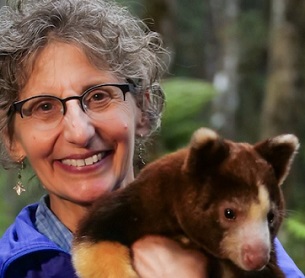 Podcast: Tree kangaroos may be key to New Guinea forest conservation ...