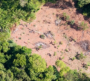 Tropical forests are some of the most threatened ecosystems on Earth, largely due to recent human activities. Credit - Sean Mattson, Smithsonian Tropical Research Institute (CC BY-NC)