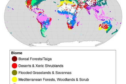 Overview of the terrestrial protected areas investigated in the new study. Credit: Nature Communications (2019)