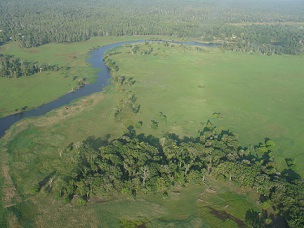 Tonda Wildlife Management Area, Papua New Guinea. Credit - Iain Taylor