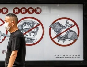 A man walks past a poster warning people in Guangdong province, China, that consuming wildlife is illegal. Photograph: Alex Plavevski/EPA