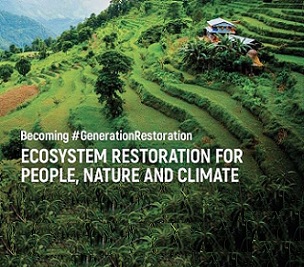 Launching the UN Decade on Ecosystem Restoration, a new UNEP/FAO report says the world must deliver on existing commitments to restore at least 1 billion degraded hectares of land - an area comparable to China - in the next decade and add similar commitments for oceans. The report documents the urgent need for restoration, the financial investment required, and the potential returns for people and nature. Credit: UNEP/FAO