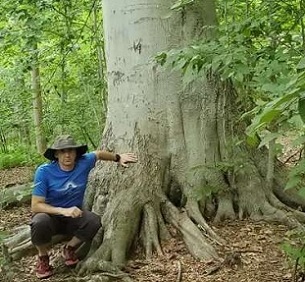 Former University of Delaware postdoctoral research fellow Carl Rosier poses with 300-year-old American Beech Tree. Credit: University of Delaware