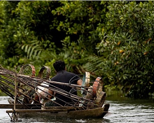 A fisherman on his canoe laden with fishing equipment at the Vailoa mangrove area on Thursday. Credit - Vaitogi A. Matafeo