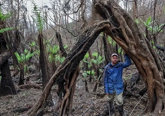 The forest is now terribly silent': land set aside for threatened species entirely burnt out