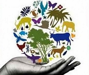 world biodiversity day logo