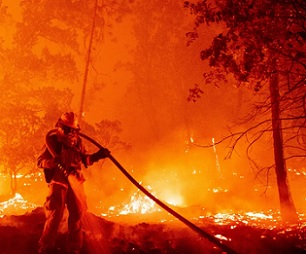 A firefighter douses flames in Madera County, California, in September. Photograph: Josh Edelson/AFP/Getty