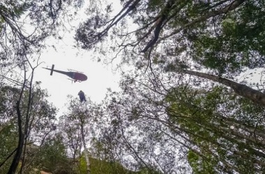 A firefighter is lowered from a helicopter hovering above the Wollemi stand. source - https://www.smh.com.au