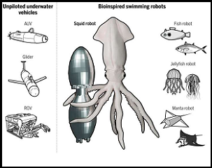 A menagerie of bioinspired robots for ocean monitoring. Credit: Bujard et al., Sci. Robot. 6, eabd2971 (2021)