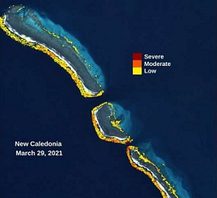 Close Up of The Allen Coral Atlas Platform Showing Bleaching in New Caledonia on 5/29/21. Credit: Allen Coral Atlas