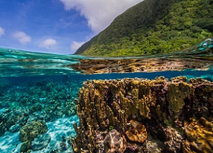 coral reefs, American Samoa. Credit - Shaun Wolfe