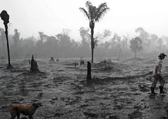 A farmer and his dog in a burnt region of the Amazon rainforest in Rondônia state, Brazil. Photograph: Carl de Souza/AFP/Getty