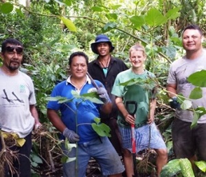 Battling the False Kava Plant in Samoa! credit - SPREP