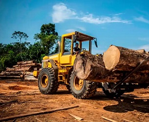 A sawmill in Peru’s Madre de Dios region of the Amazon rainforest. Photograph: Ernesto Benavides/AFP/Getty Images