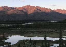 The Brooks Range stretches across northern Alaska. Boreal forests in North America are among the largest areas experiencing a relatively low human impact. Credit: Jason Riggio/UC Davis