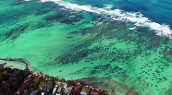Hawaii's inshore reef area