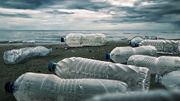 plastic bottles on a beach. credit - iStock