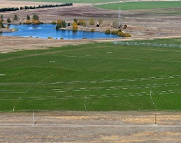 A green wave is slowly spreading over the parched Mackenzie Basin as more and more irrigation comes on stream. credit - John Bisset/Stuff