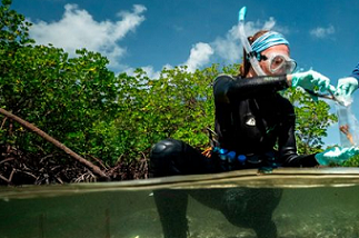 Marine biologist Emma Camp sampling coral.Credit: Rolex/Franck Gazzola