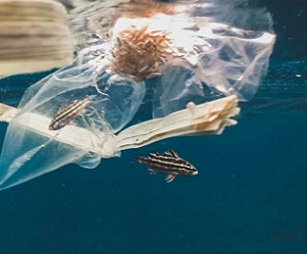 The total number of plastic bags, fishing equipment, disposable bottles and other plastic items currently in the ocean is unknown. Credit: Unsplash/ Naja Bertolt Jensen
