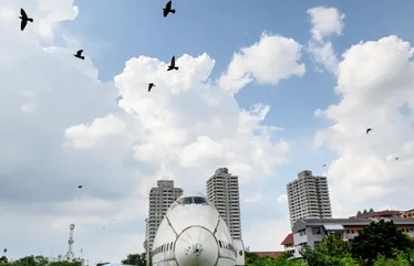 Birds fly over abandoned aircraft in the suburbs of Bangkok in October. Photograph: Mladen Antonov/AFP via Getty Images