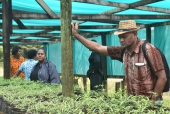 Learning Exchange Strengthens Understanding In Plant Propagation And Nursery Design And Management. Credit  - SPREP