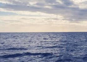 Trashed oceans find current of new hope
