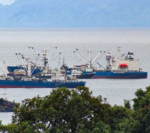 Fishing vessels waiting to tranship at Honiara. Photo: Ronald Toito’ona.