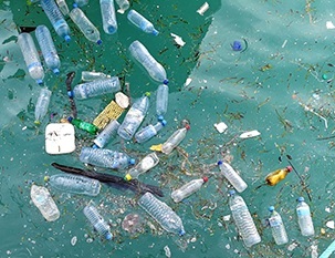 plastic pollution in the ocean. Credit - Nicki Holmyard
