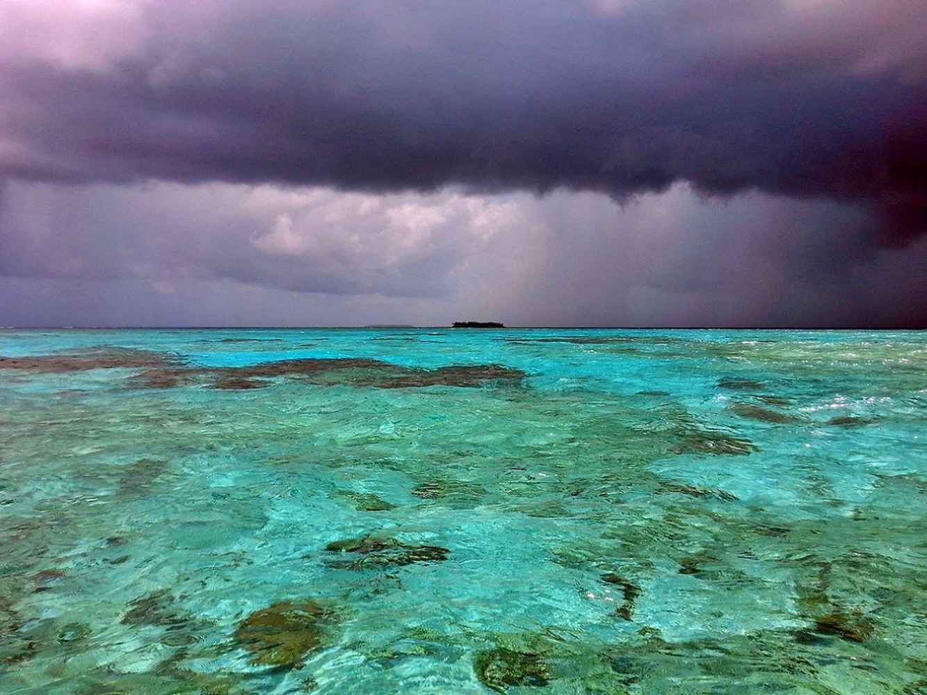 Funafuti Conservation Area, Tuvalu. Credit - V. Jungblut
