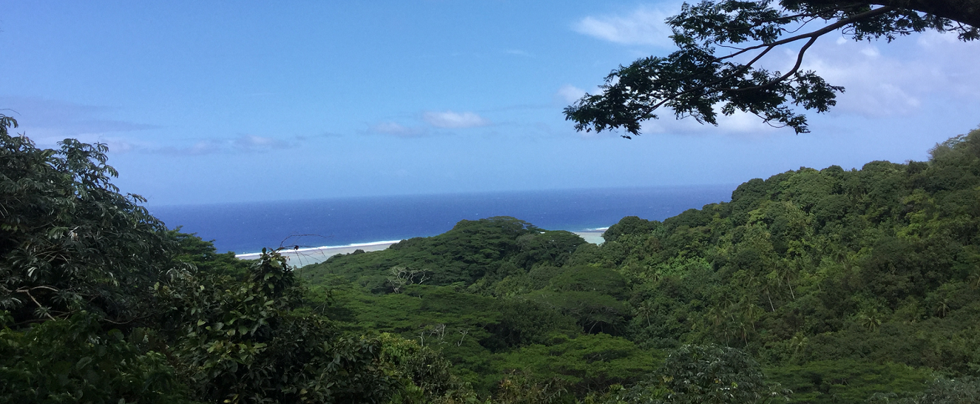 Takitumu CA_Cook Islands © Cook Islands_NES