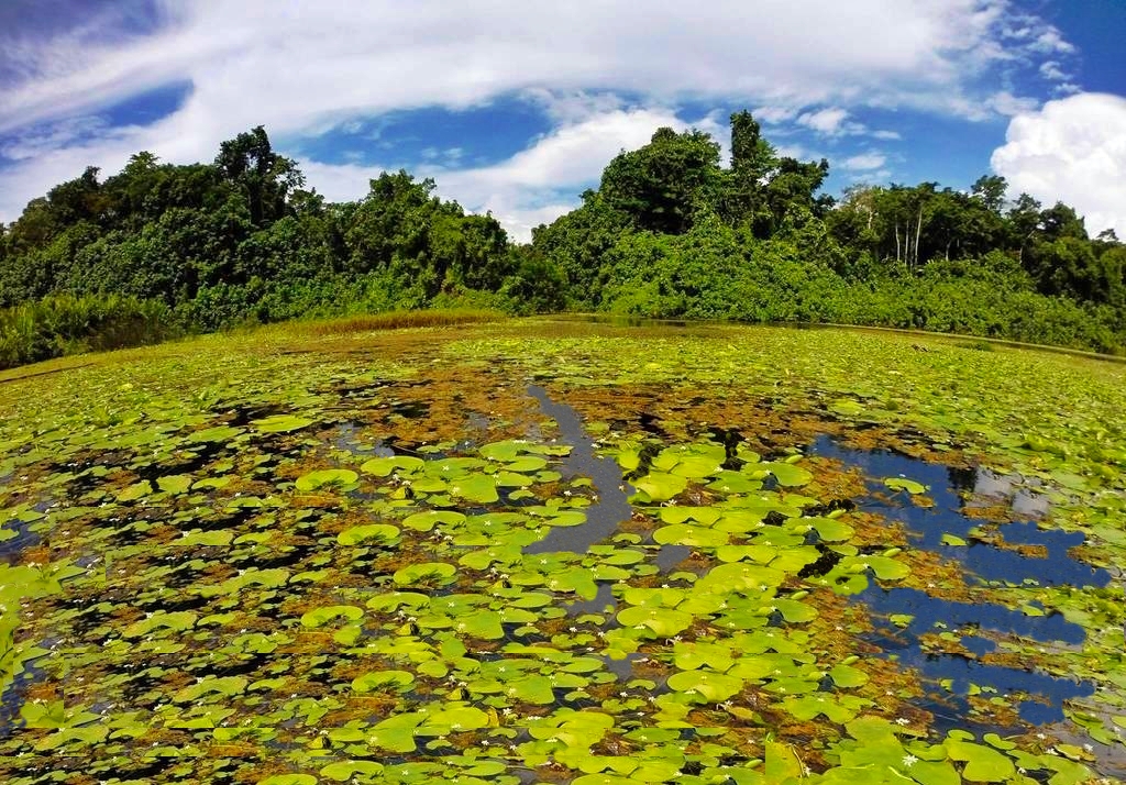 Vatthe Conservation Area. Credit - SUP Wilderness Adventures