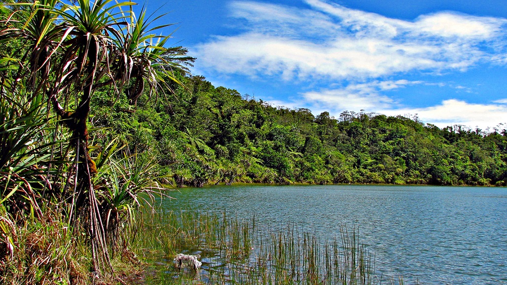 Lake Lanotoo National Park, Samoa. Credit - V. Jungblut