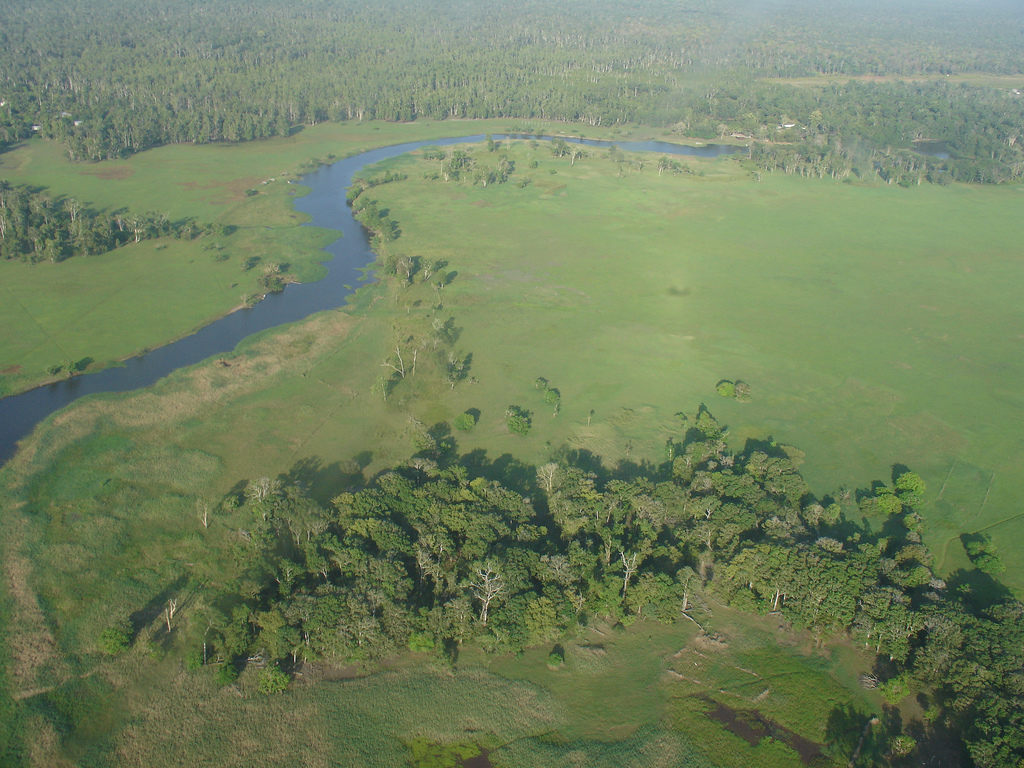 Tonda Wildlife Management Area (Papua New Guinea) Tonda Wildlife Management Area (Papua New Guinea)