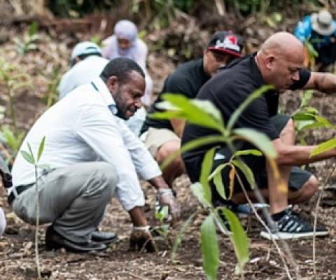Samoa planted 2,215,756 trees during the Two Million Tree Campaign from 2015 – 2020. Photo: Vaitogi A. Matafeo